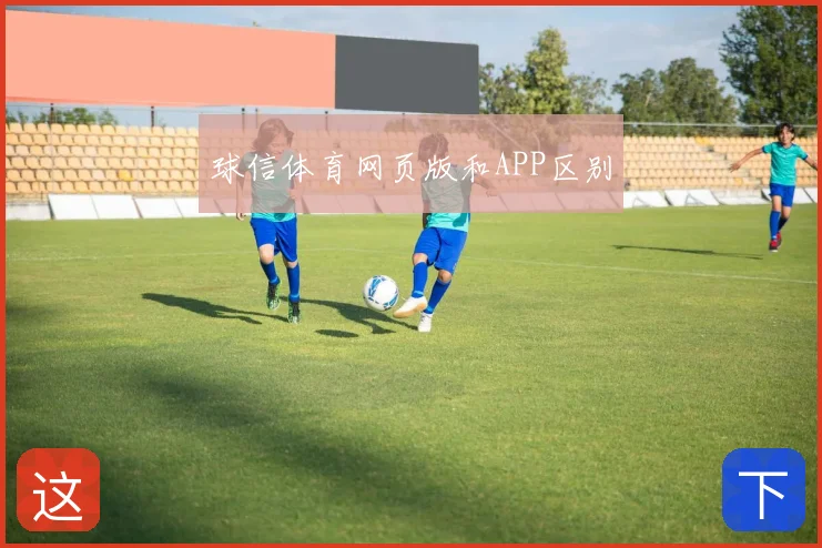 球信体育网页版和APP区别